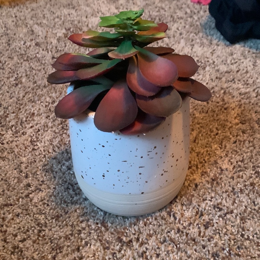 Threshold faux plant